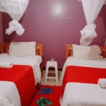 Airbnbs in Nyayo Estate