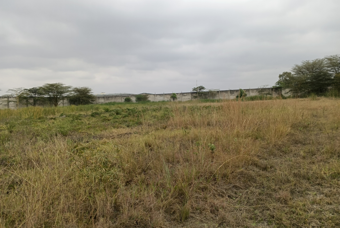 5 Acre Land For Lease Cabanas Mombasa Road 3.25M